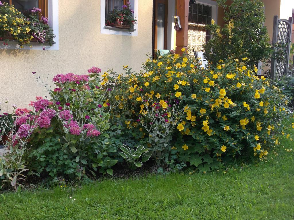 Haus Margit Schlierbach Exterior foto